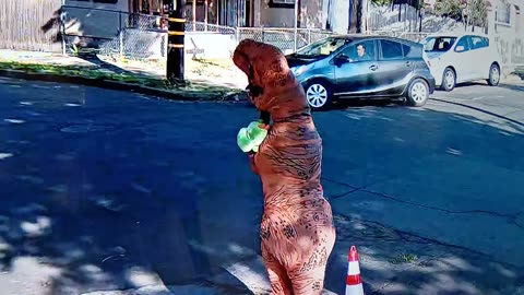 Dinosaur