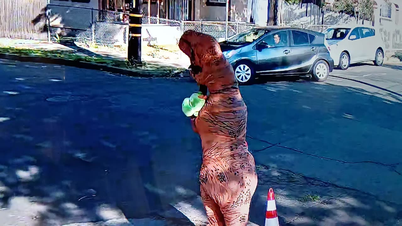Dinosaur