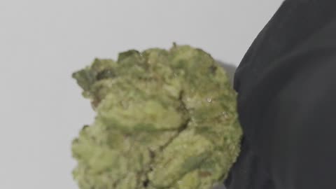 Blue Gummy THC Flower Ounces