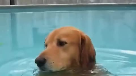 it's a hot day