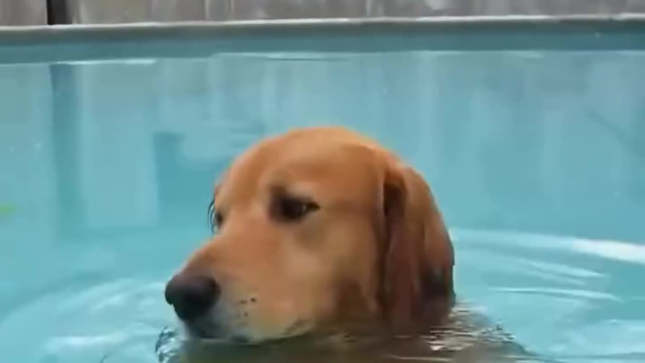 it's a hot day