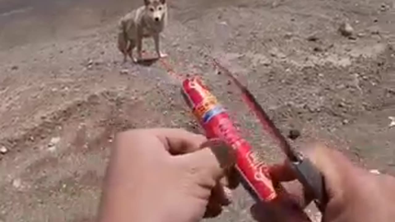 Fun