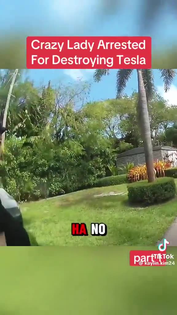 Another Crazy Person Vandalizing a Tesla