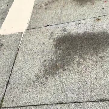 The Great Pink Scooter Caper