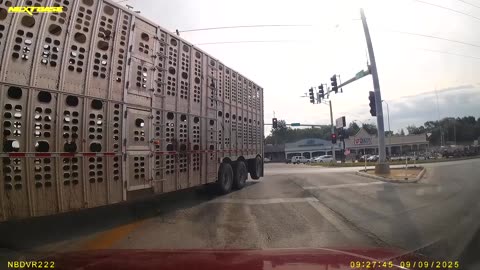 Huge Semi Almost Hits Me (Stops On A Dime)
