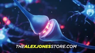 INFOWARS Shows