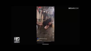 INFOWARS Shows