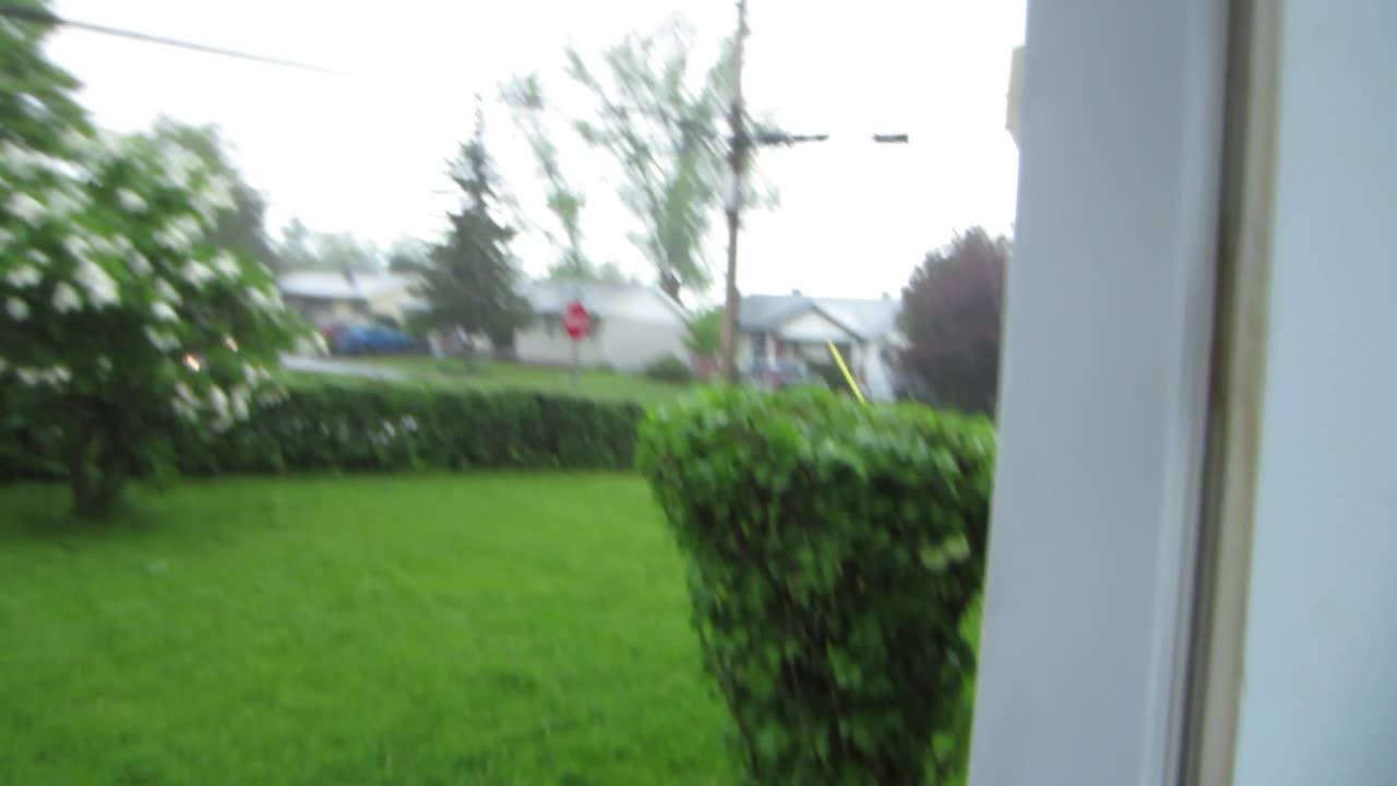 Random video of rain and a little Thunder ?With Mia