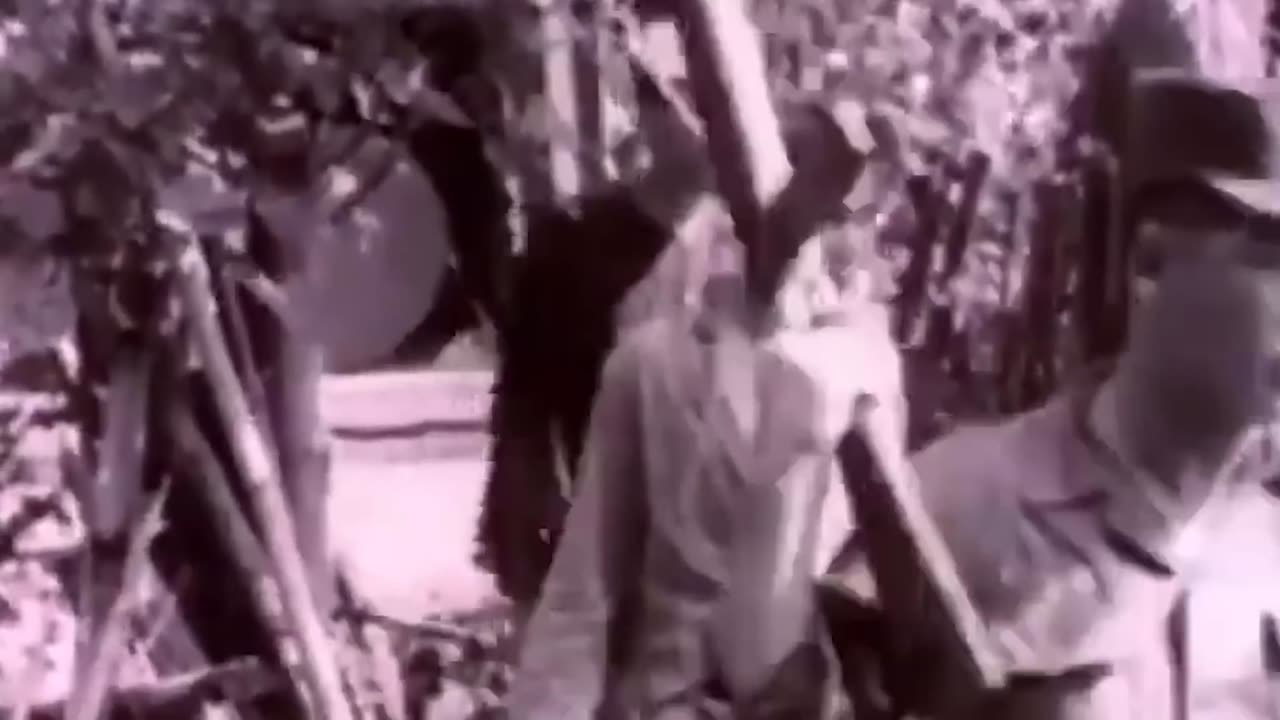 The Only Force The Viet Cong Feared in the Vietnam War