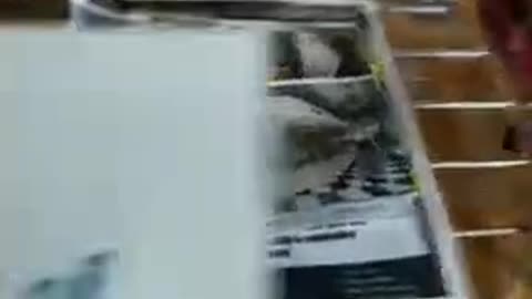 Tim Rifat TikTok Videos