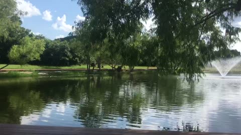 Lake scenery