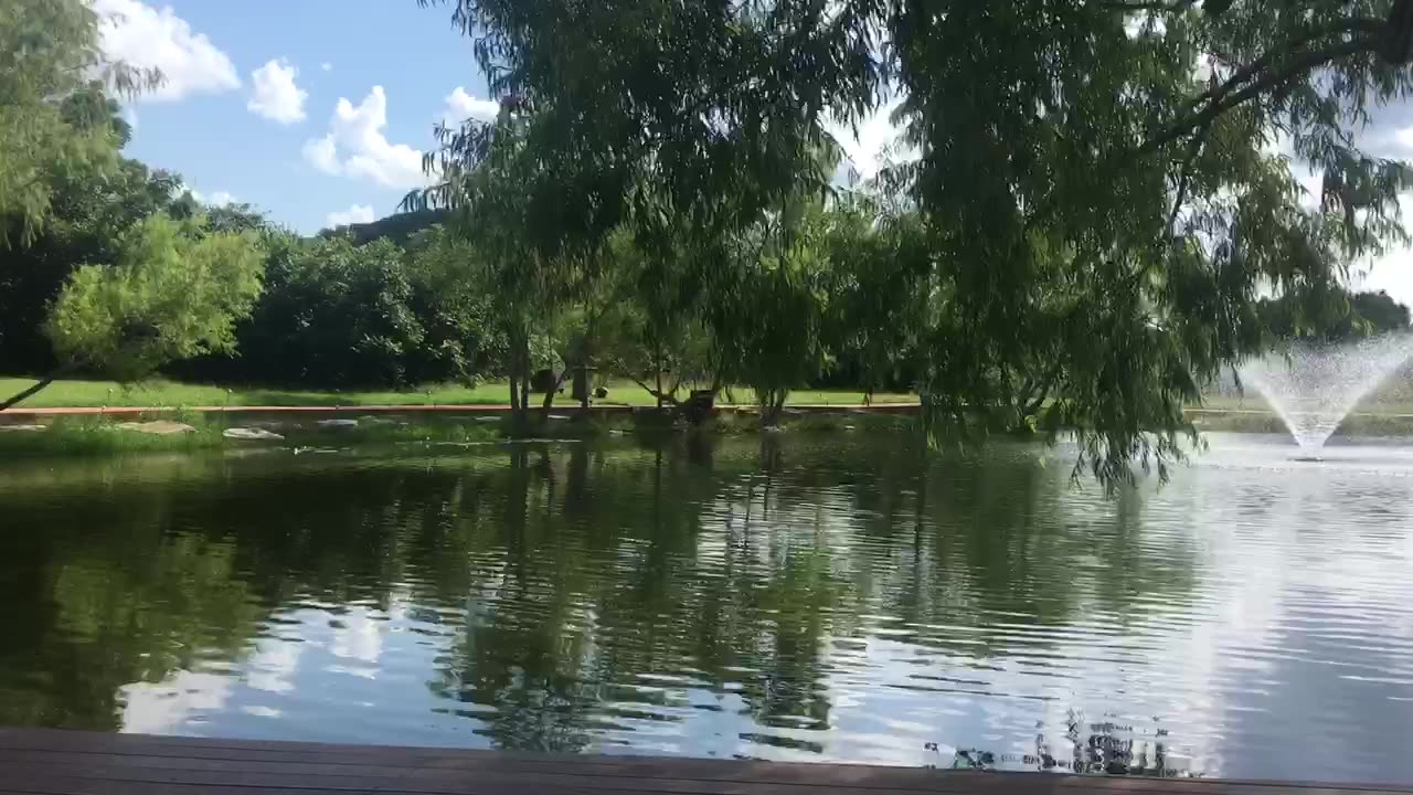 Lake scenery