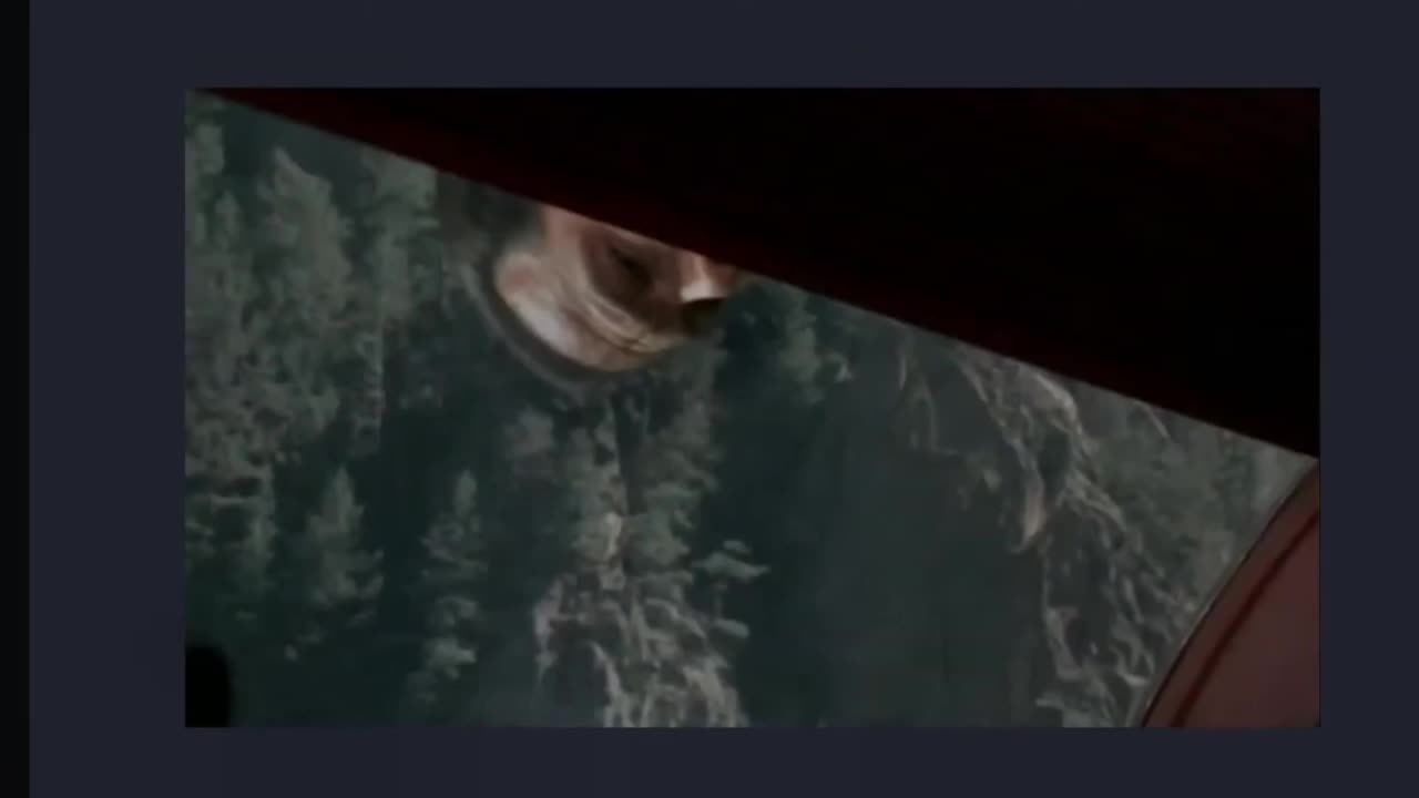 Steven Seagal Plays Peekaboo