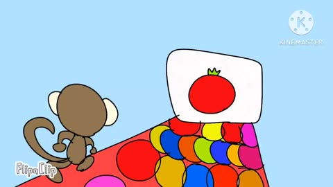 TOMATO