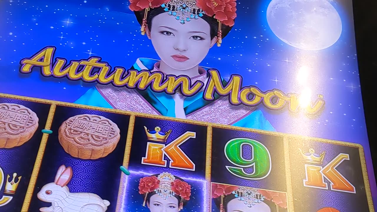 Autumn moon dragon link