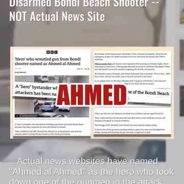 Fact Check: FAKE Site Said IT Professional 'Edward Crabtree' Disarmed Bondi Beach Shooter