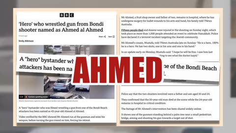 Fact Check: FAKE Site Said IT Professional 'Edward Crabtree' Disarmed Bondi Beach Shooter