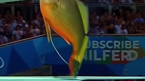 Which Fish Wins the Gold Medal?