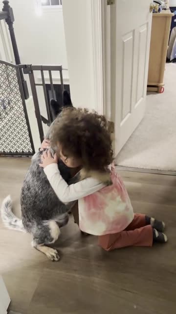 Dog Hugs Toddler Like A Human