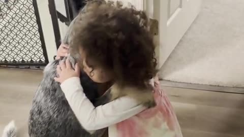 Dog Hugs Toddler Like A Human