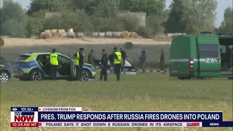 Trump reacts to Russia's violation of Poland's airspace "Here we go!"