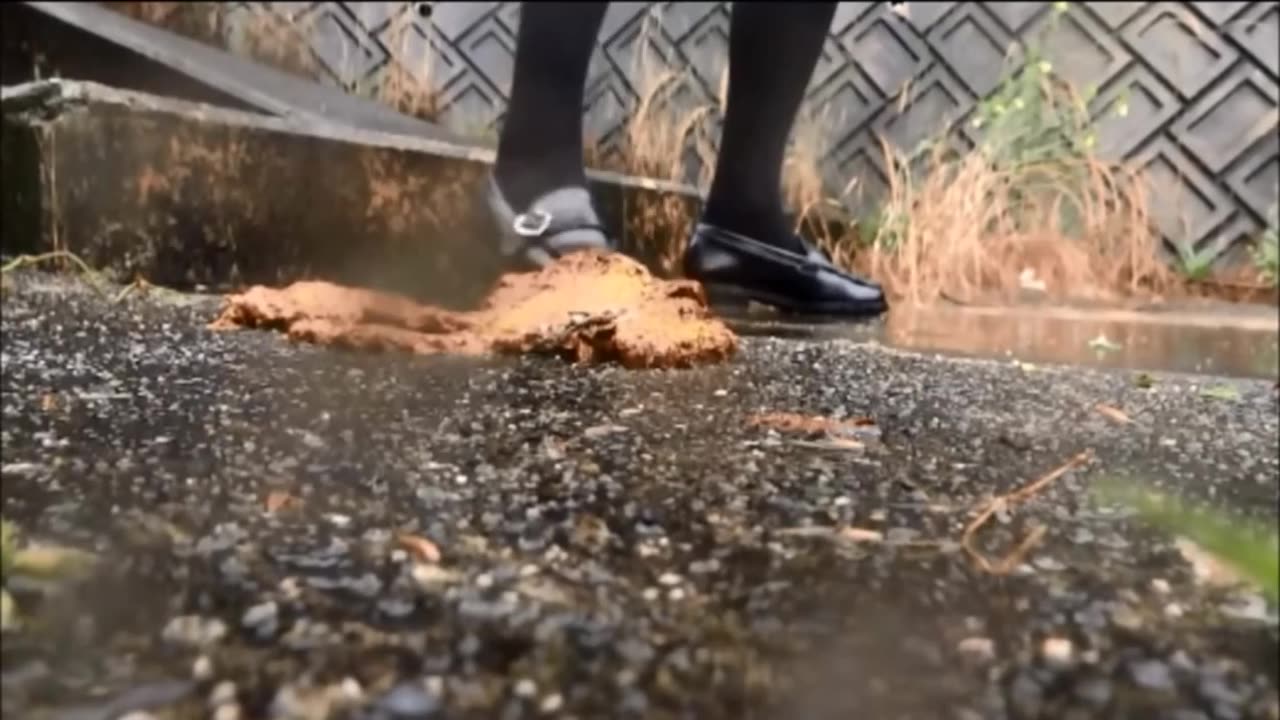 Girls Step in Crap with Loafers - Candid