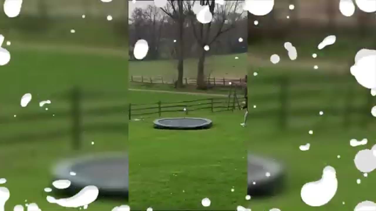 try not to laugh videos