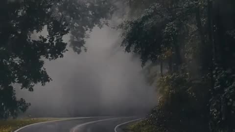 Calm & Rain