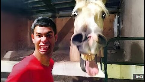 Comedian Animals Will Make You Laugh So Hard 😁Funniest ANIMAL Videos