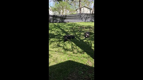 On The Hunt