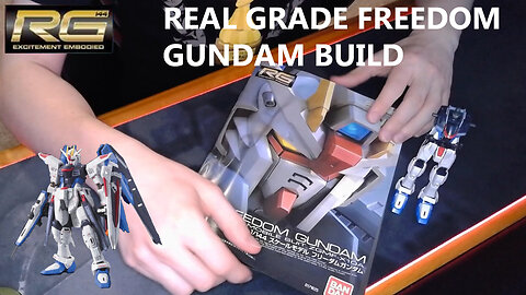 Completing The Body! Real Grade Freedom Gundam | Gundam Building