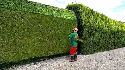 Satisfying Videos Of Workers Doing Their Job Perfectly