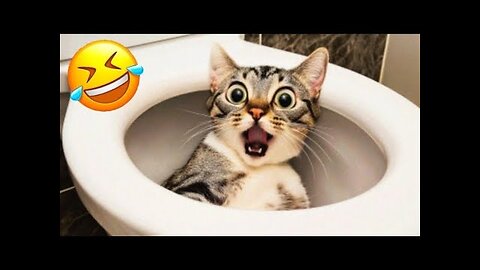 Ultimate Funny Animal Compilation – Try Not to Laugh!