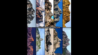 🜏 Colossus in the Cliffs: Membranes, “Mud Fossils,” and the Parasites That Outlived Titans