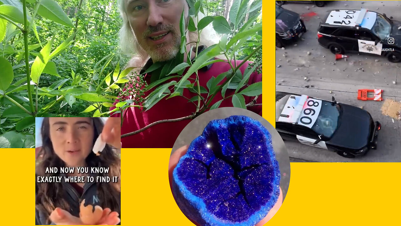 Äta membran. CBDC mot bankerna. Herrenvolk vs Utvalda. Betalkortskostnader. Dår-Israel. MPEG-brister