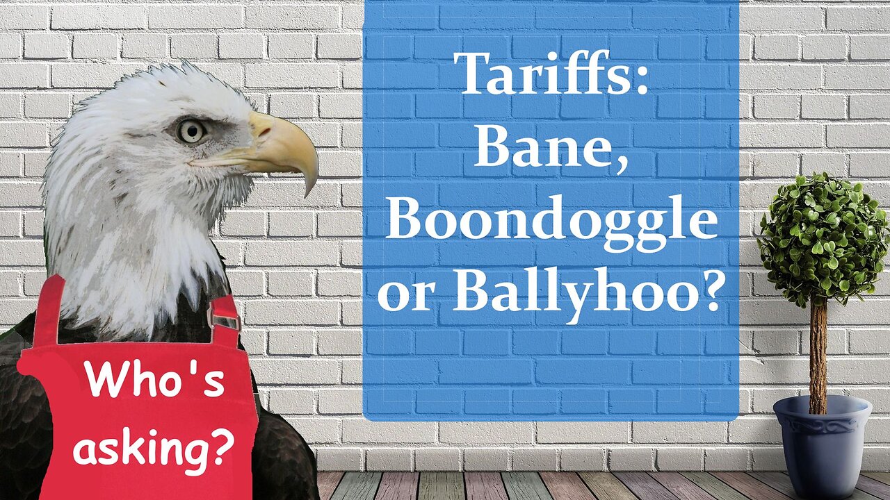 Tariffs: Bane, Boondoggle or Ballyhoo?