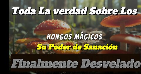 ¿Por qué seguimos prohibiendo los hongos psilocibina? Descubre la verdad sobre su poder curativo