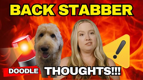 Will Elizabeth BETRAY Loren? Doodle Bear has thoughts! 90 Day Fiance