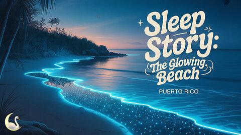 ✨ Glowing Beach in Puerto Rico | 🎤 ASMR Storytelling | 🌊 Waves