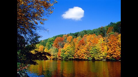 Live Free Celebrate Recovery Large Group Meeting, June 29, 2025