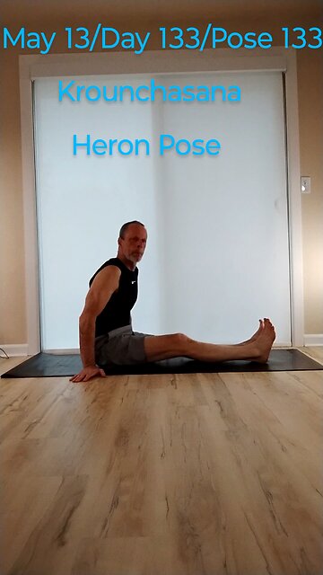 Krounchasana / Heron Pose