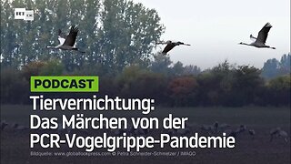 Tiervernichtung- Das Märchen von der PCR-Vogelgrippe-Pandemie