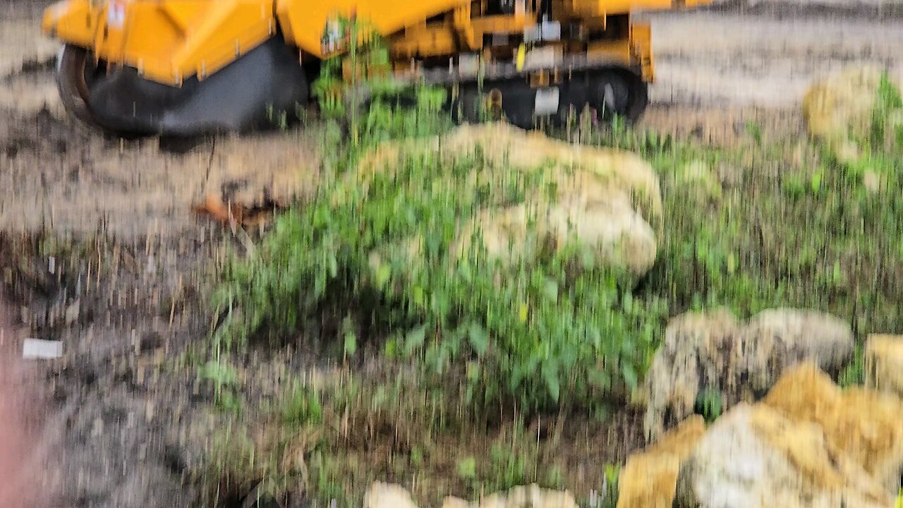 stump grinding