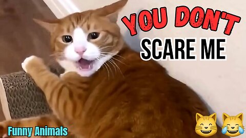 You don't scare me