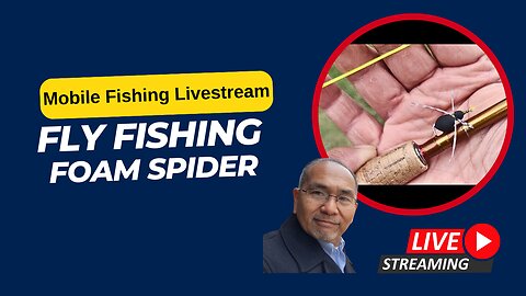 Pond Fly Fishing a Foam Spider, Let's See... #Mobile #Fishing #Livestream