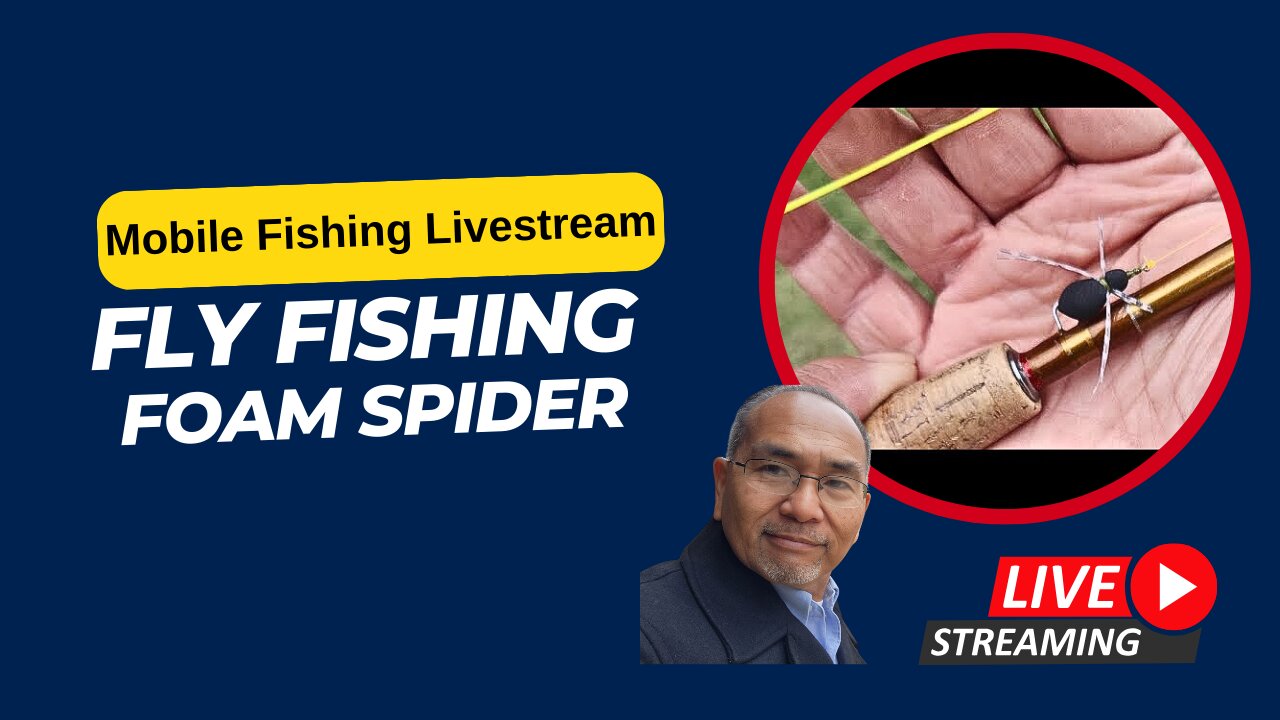 Pond Fly Fishing a Foam Spider, Let's See... #Mobile #Fishing #Livestream