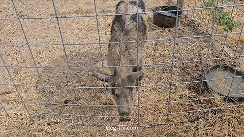 Graham Family Farm NW: 9:10 AM June 27 2025