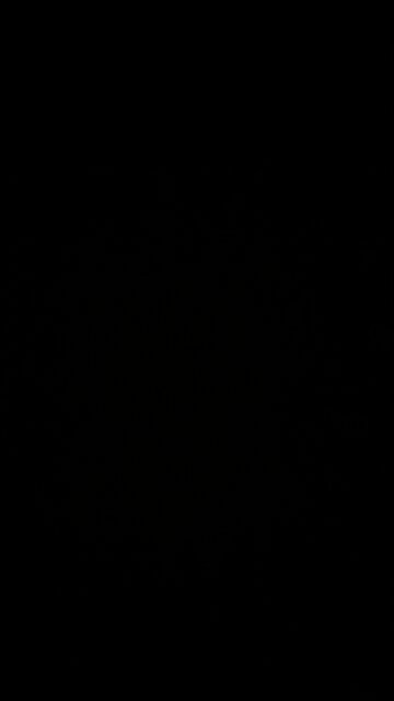 Wholesome entertainment