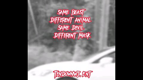 TenDown WJ Ent
