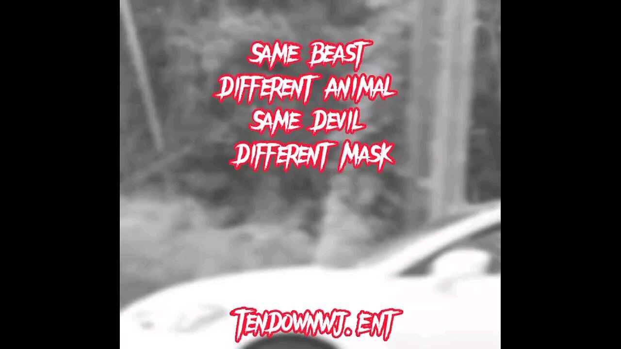 TenDown WJ Ent